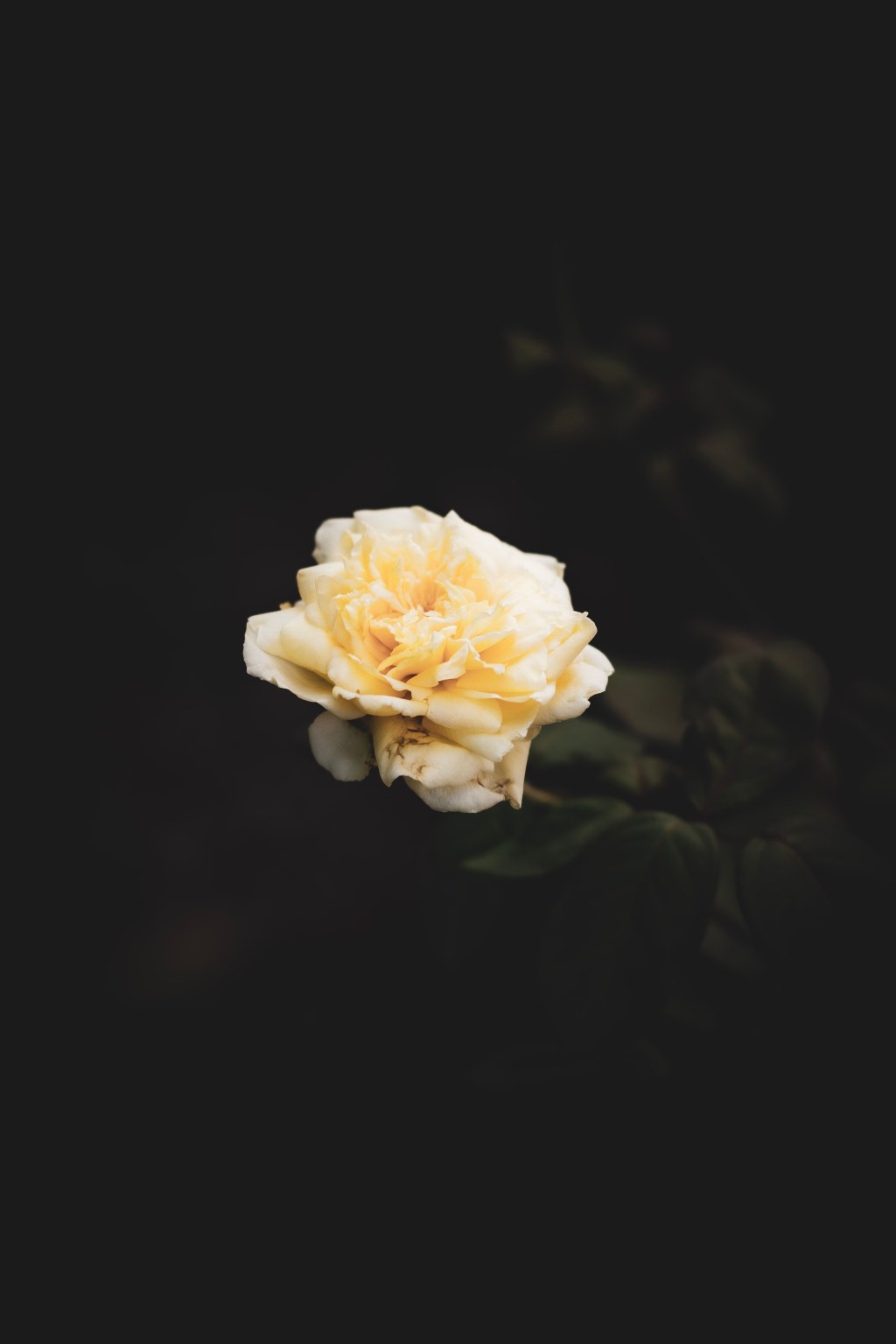 The Real Hunger&nbsp;Games