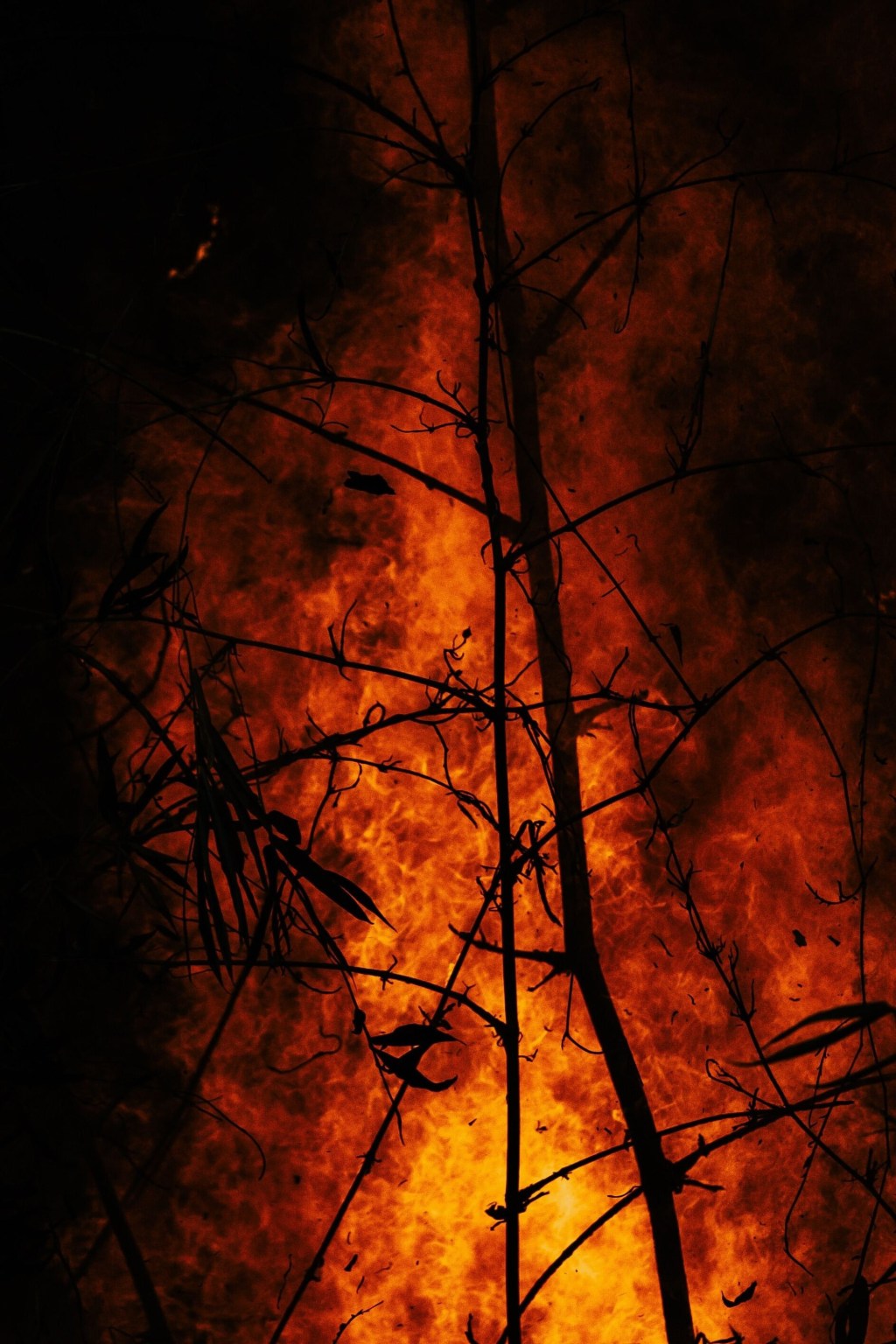 We Are Never In&nbsp;Control