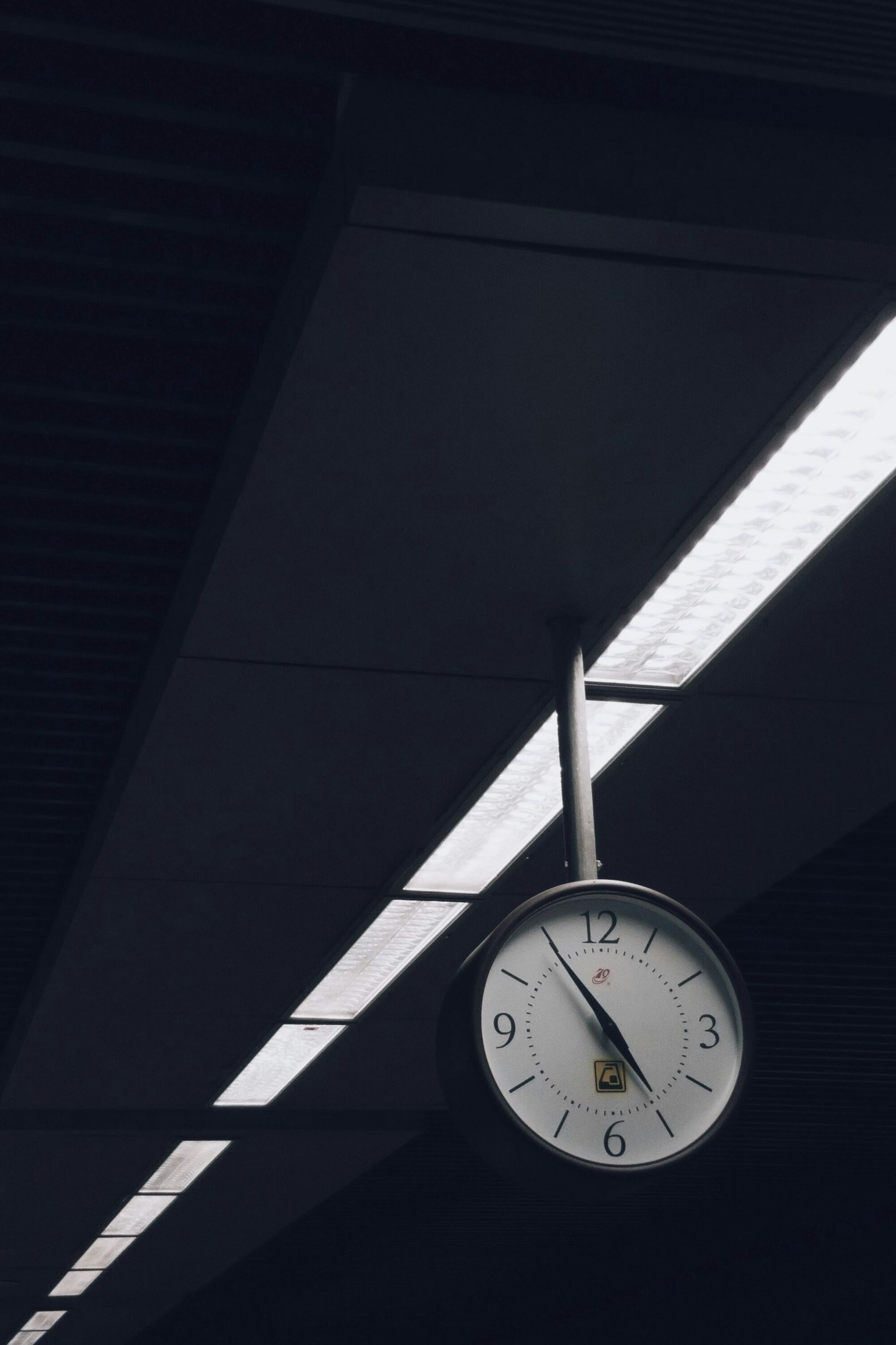 The Fallacy Sessions: Life’s Purpose