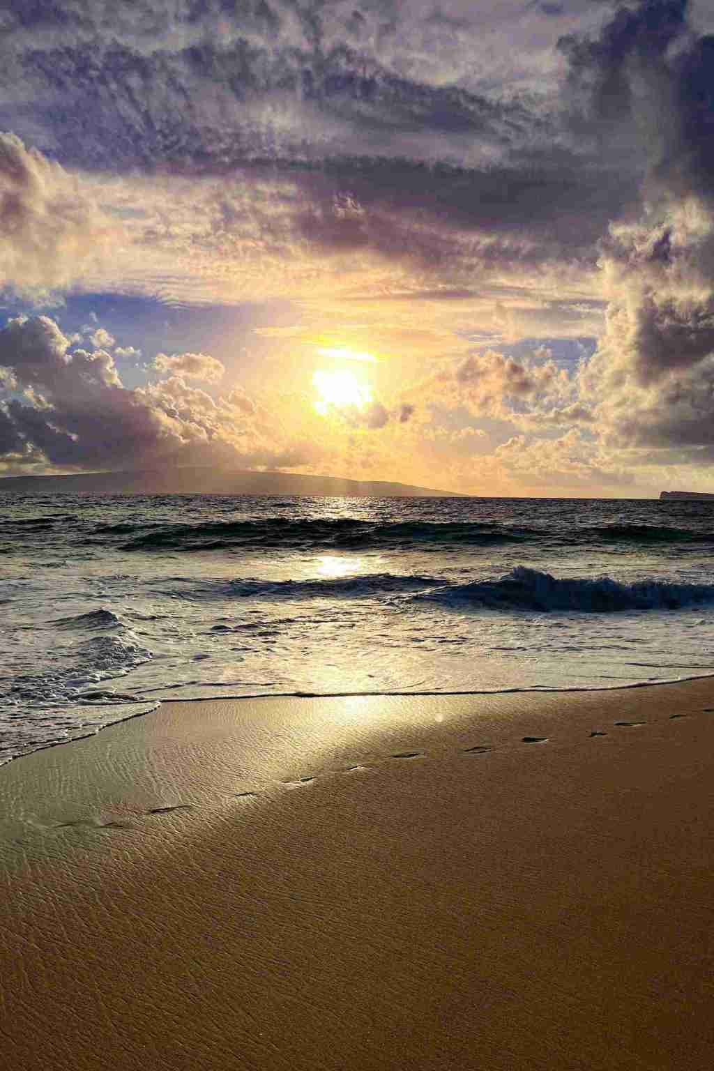 The Sunshine Blogger&nbsp;Award