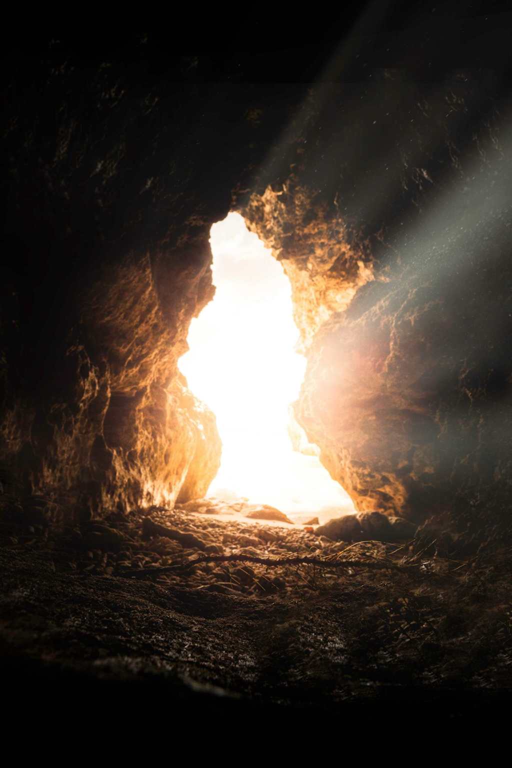 The Fallacy Sessions: Evil Will&nbsp;Win