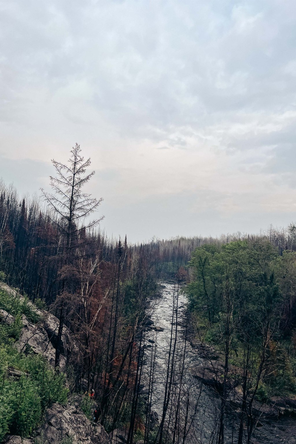 A Second Camp&nbsp;Story