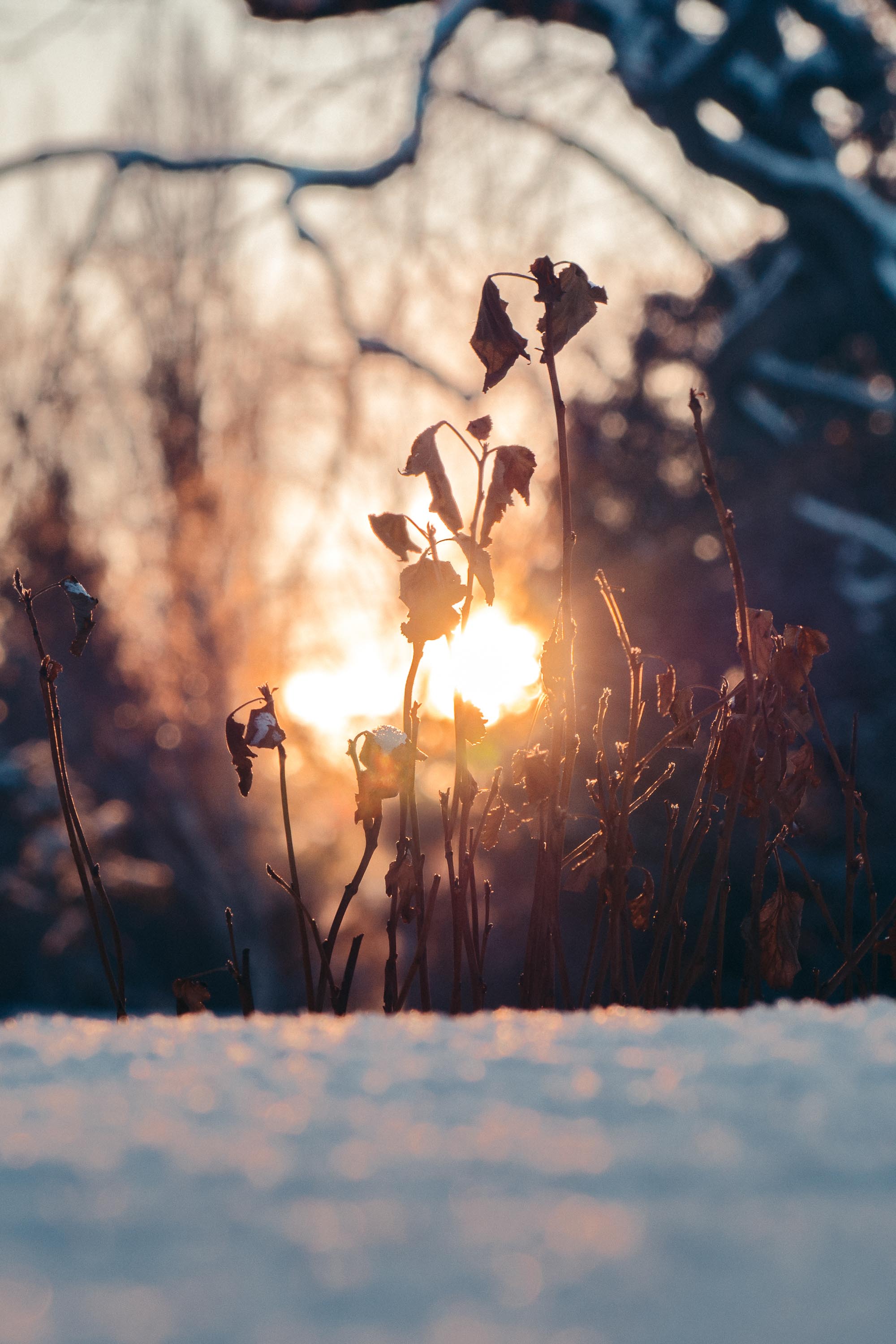 Share Your Faith (Takeaways from GoLove)